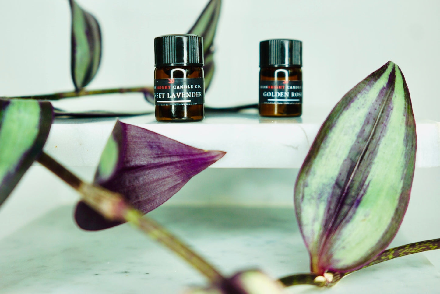 Sunset Lavender Essential Oil 10 ML